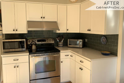 Wilmette Kitchen Cabinet Refacing